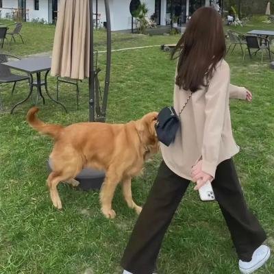 新兵第二季