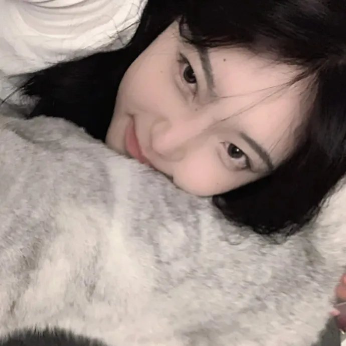 美国派:兄弟会