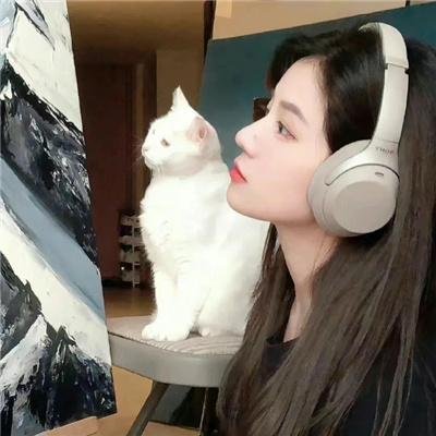 郊狼